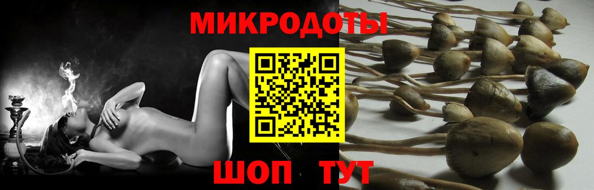 где можно купить   Вход с VPN  Нягань  Галлюциногенные грибы мицелий 